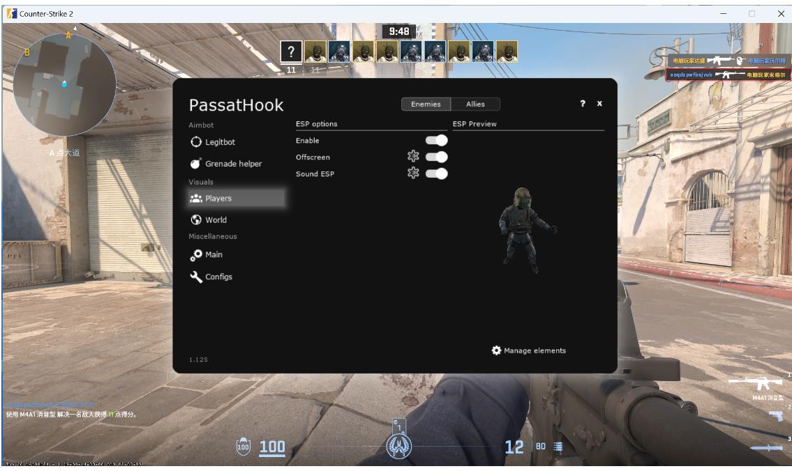 CS2-PassatHook多工能助手V7.3下载_更新置顶 图1